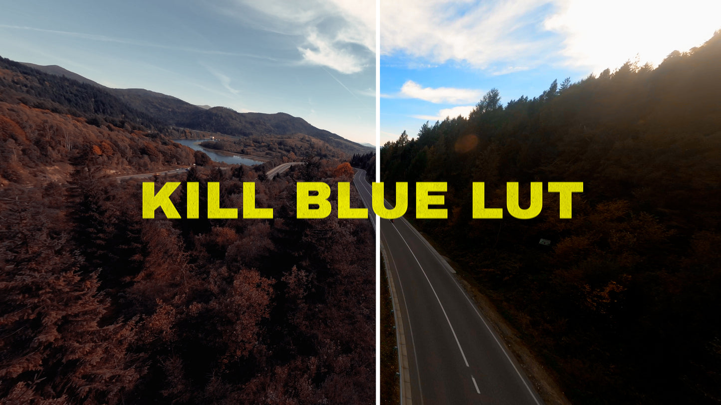 DJI Avata 2 Cinematic Luts