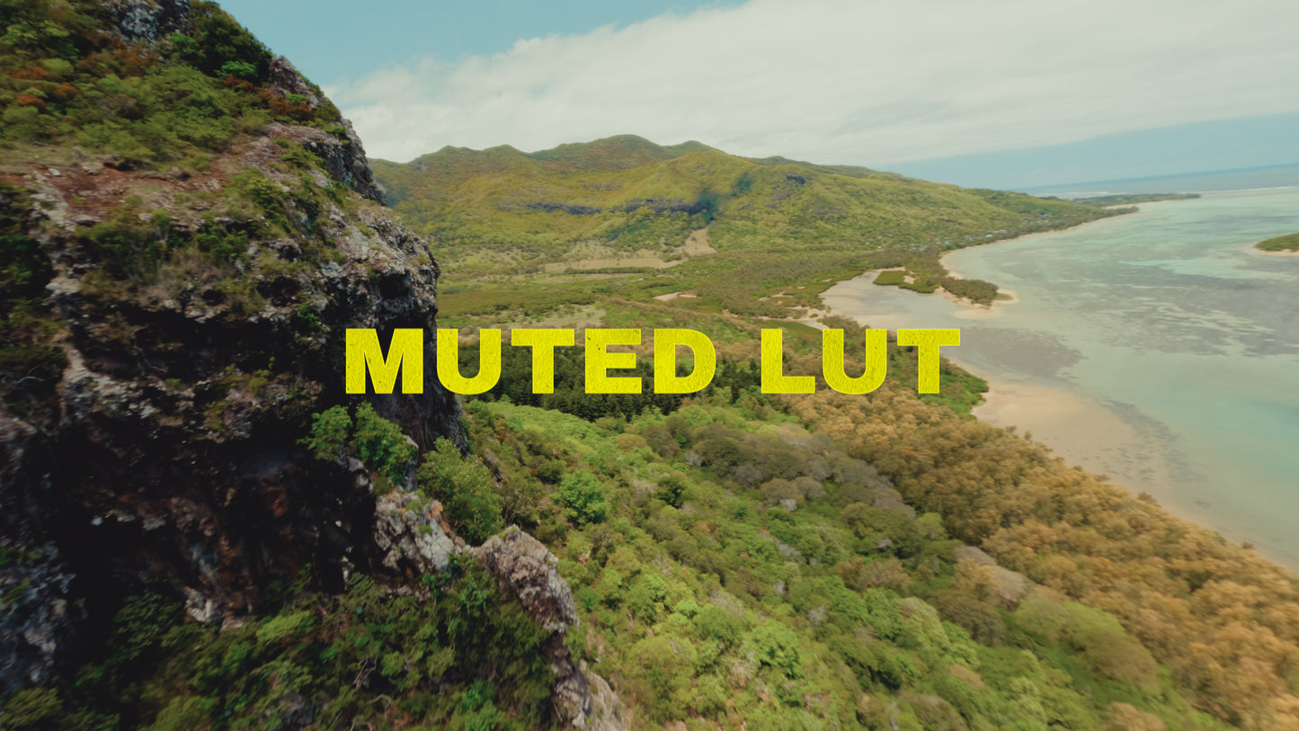 DJI Avata 2 Cinematic Luts