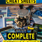 DJI Air 3S CHEAT SHEETS - FLY APP SETTINGS (Digital)